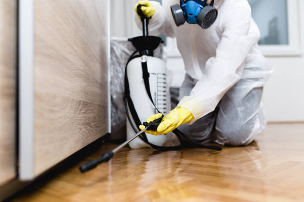 Best Pest Prevention Services  in Arvin, CA