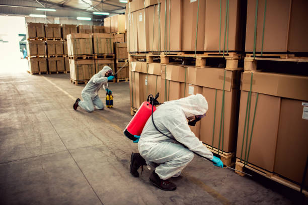 Best Termite Control Services  in Arvin, CA