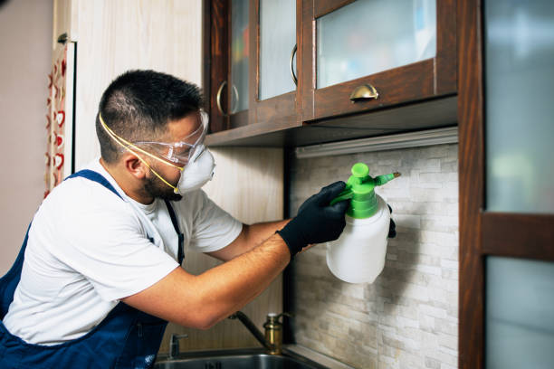 Pest Prevention Services in Arvin, CA