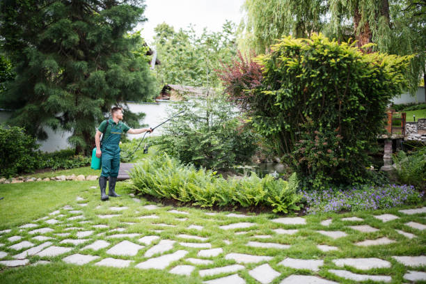 Best Mosquito Control Services  in Arvin, CA
