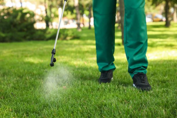 Best Best Pest Control Companies  in Arvin, CA