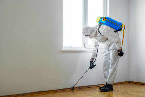 Best Pest Prevention Services  in Arvin, CA