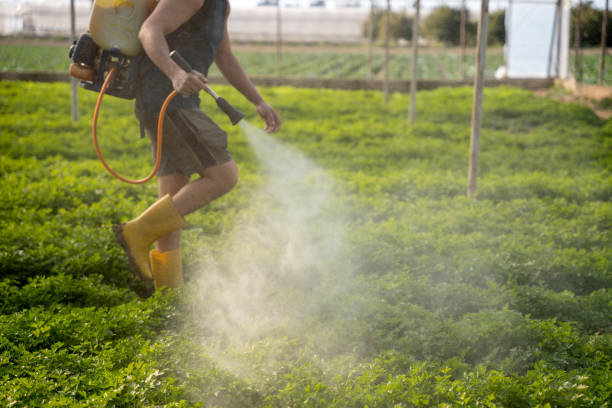 Best Residential Pest Control  in Arvin, CA