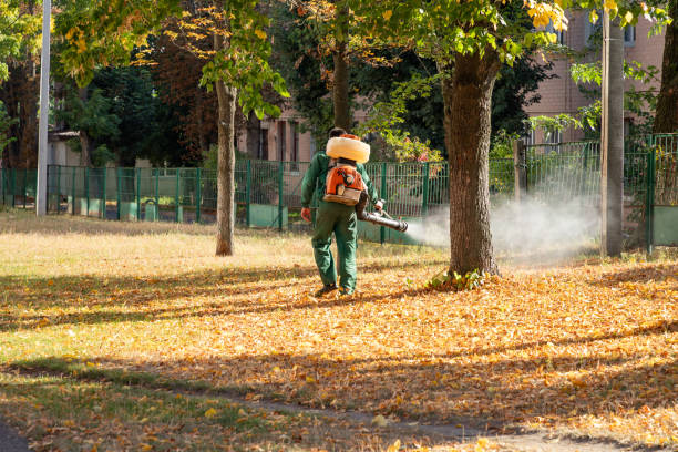 Arvin, CA Pest Control Company