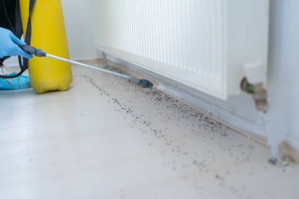 Best Pest Inspection Near Me  in Arvin, CA