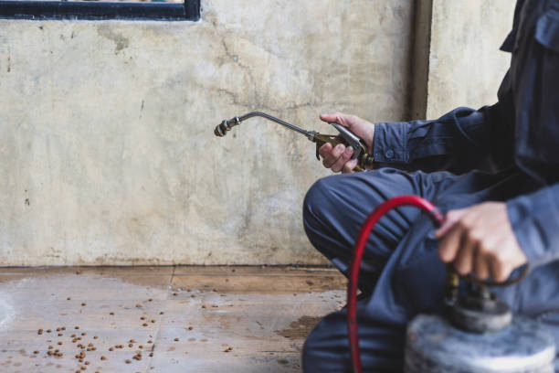 Best Affordable Pest Control Services  in Arvin, CA